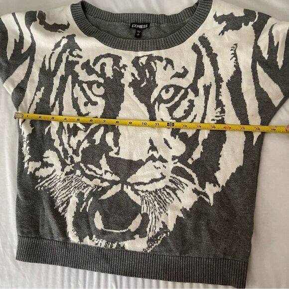 Express tiger grey sweater size Small🐯 - Picture 8 of 10